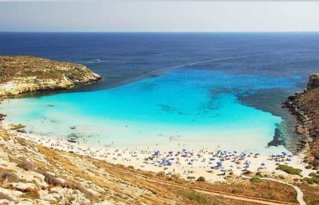 immagine annuncio 0 di 1