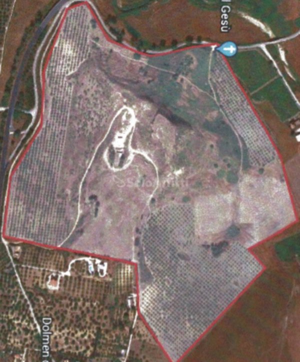 terreno agricolo in affitto a Sciacca