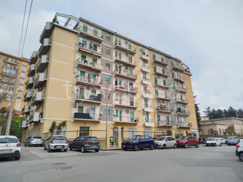 appartamento in affitto a Caltanissetta