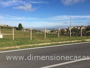 terreno agricolo in affitto a San Cataldo