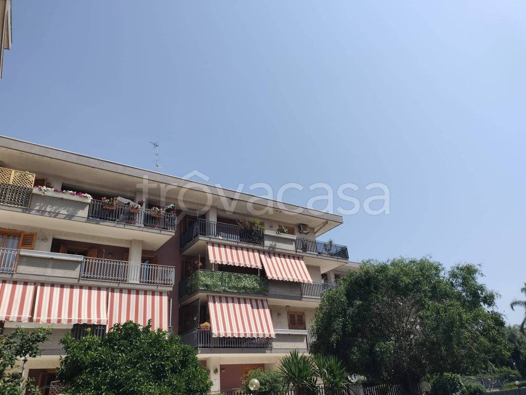 appartamento in affitto ad Aci Catena in zona San Nicolò