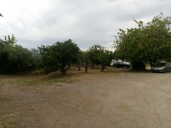 capannone in affitto ad Acireale