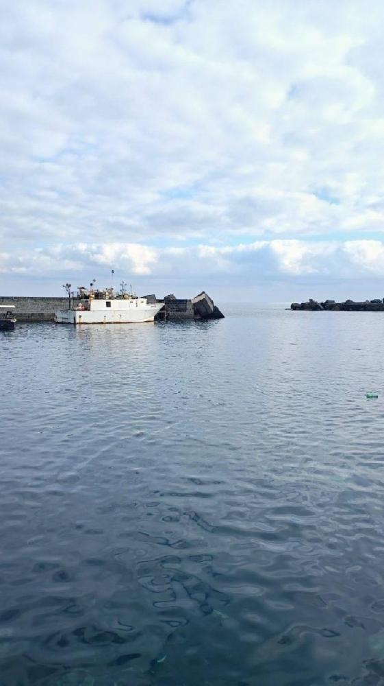 immagine annuncio 0 di 4