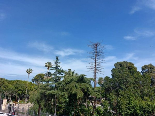 appartamento in affitto ad Acireale in zona San Cosmo