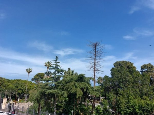 appartamento in affitto ad Acireale in zona Centro Storico