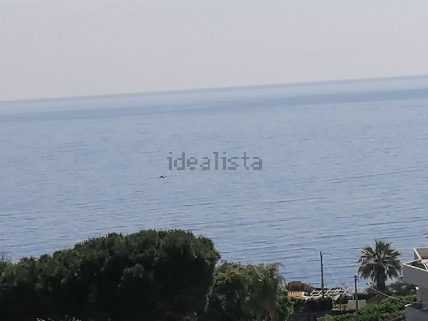 appartamento in affitto ad Acireale