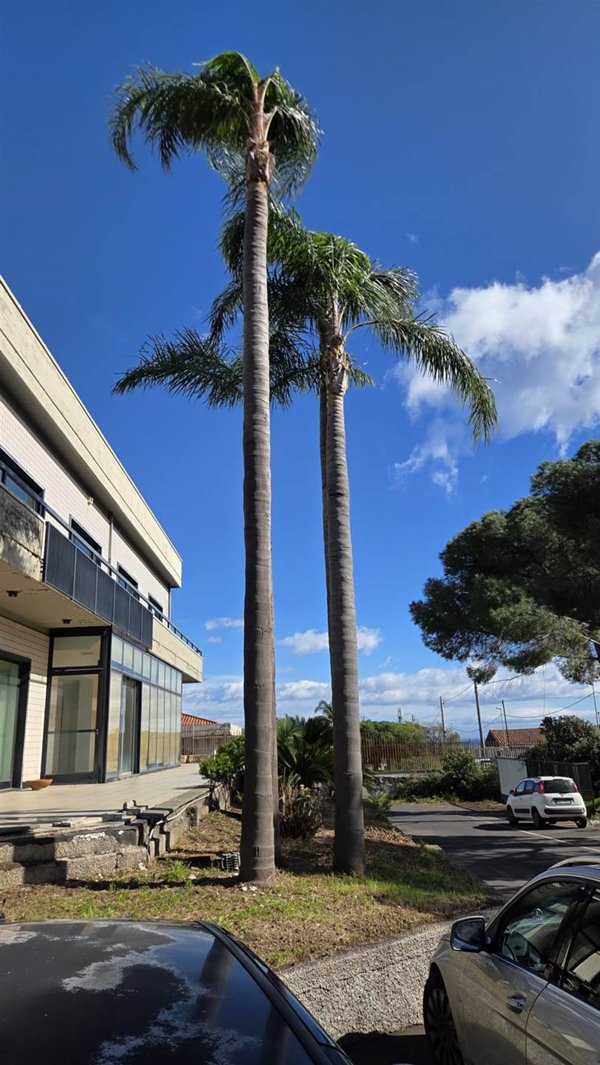 ufficio in affitto ad Acireale in zona Capo Mulini