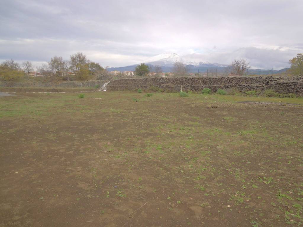 terreno agricolo in affitto a Belpasso