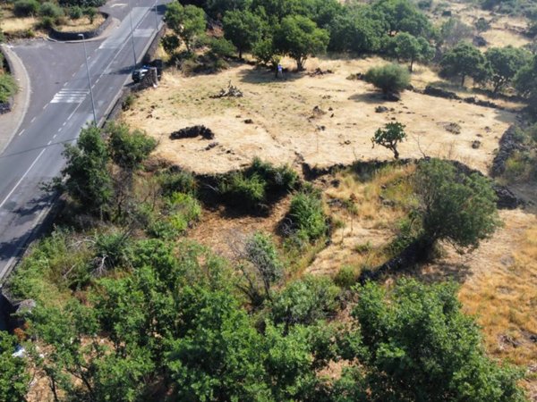 terreno agricolo in affitto a Belpasso