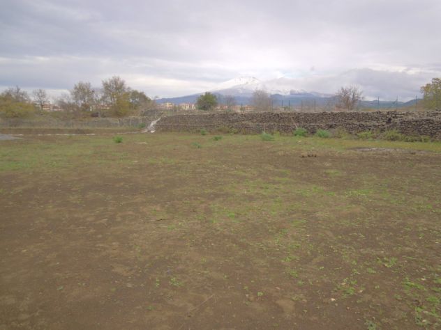 terreno agricolo in affitto a Belpasso