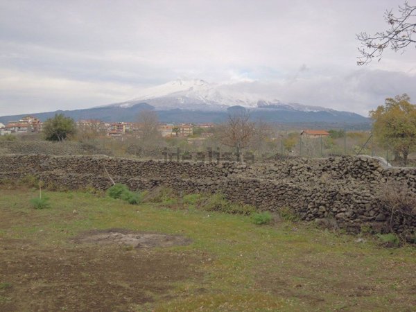 terreno agricolo in affitto a Belpasso