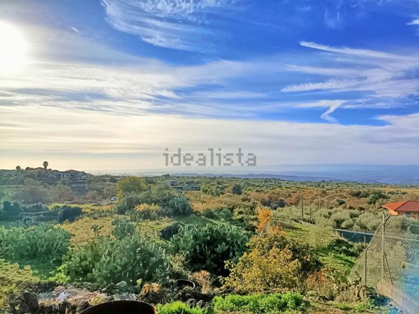 terreno agricolo in affitto a Belpasso
