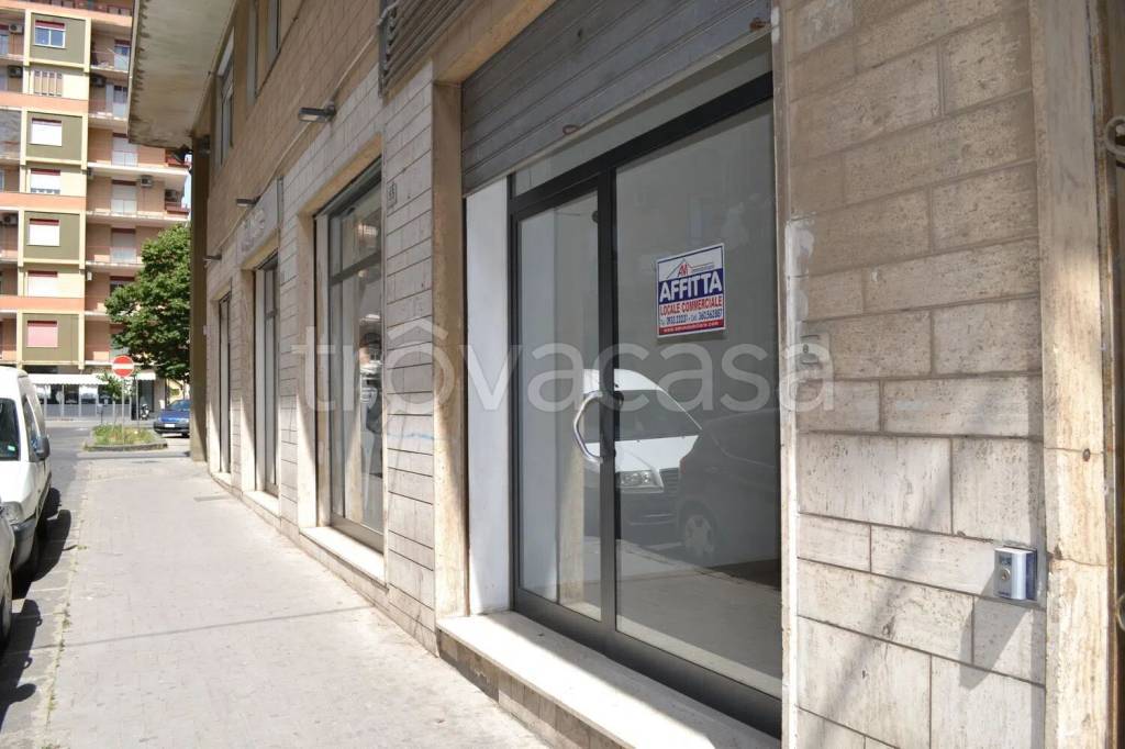 negozio in affitto a Caltagirone