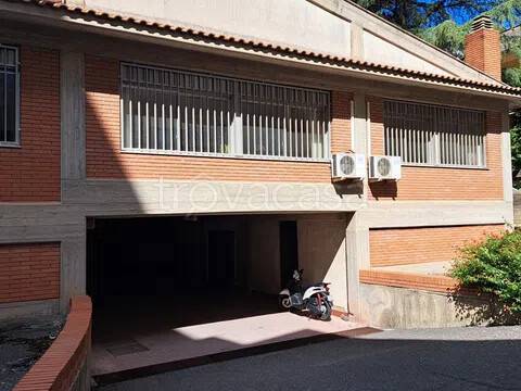 negozio in affitto a Caltagirone