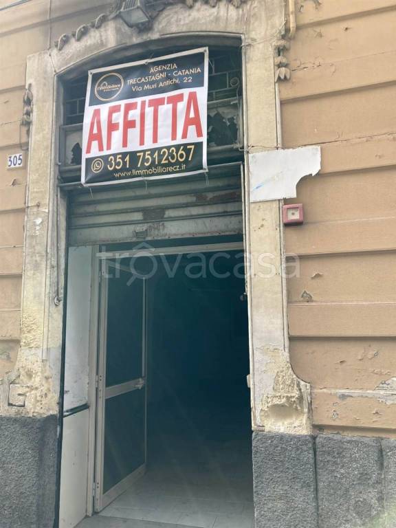 negozio in affitto a Catania