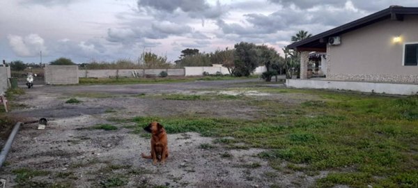 terreno agricolo in affitto a Catania in zona Fontanarossa