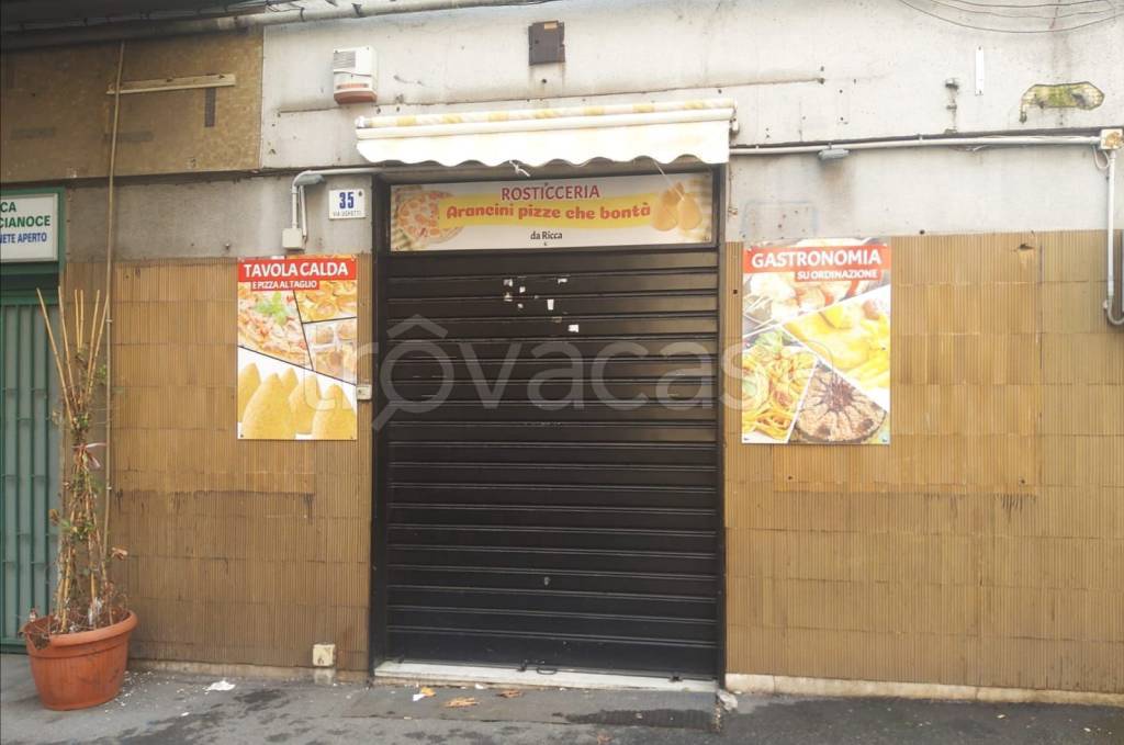casa indipendente in affitto a Catania