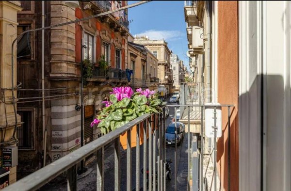 appartamento in affitto a Catania