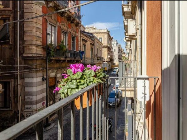 appartamento in affitto a Catania