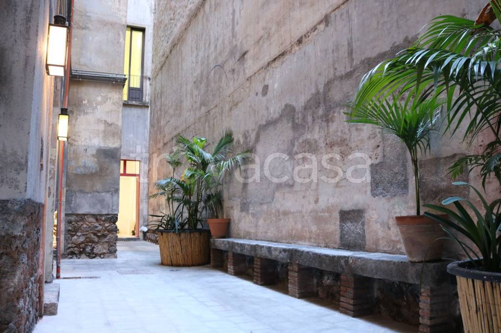 negozio in affitto a Catania