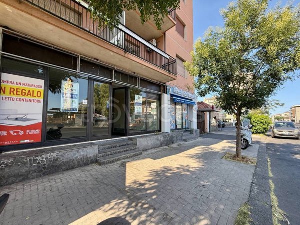 trivano in affitto a Catania