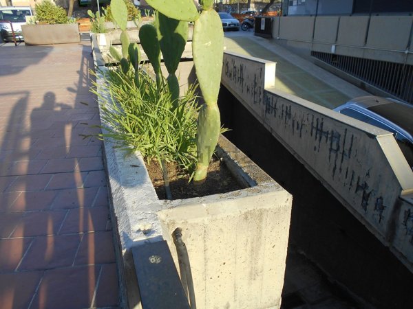 locale commerciale in affitto a Catania