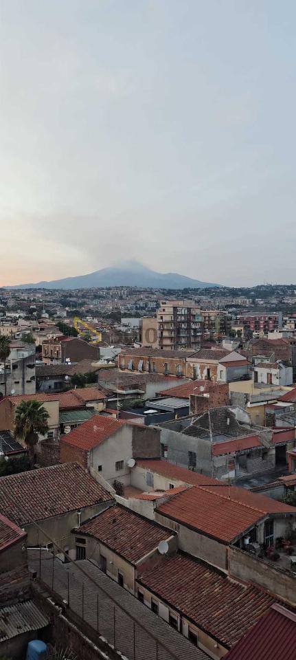appartamento in affitto a Catania in zona Picanello