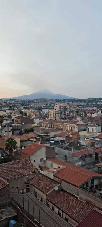 appartamento in affitto a Catania in zona Picanello