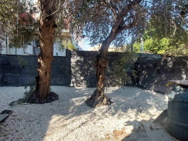 appartamento in affitto a Catania in zona Ognina