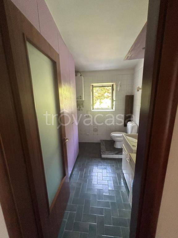 appartamento in affitto a Catania