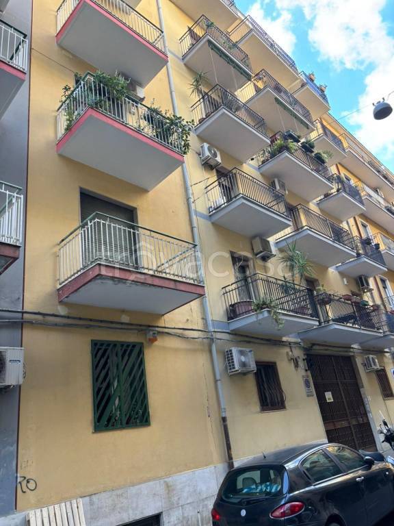 appartamento in affitto a Catania