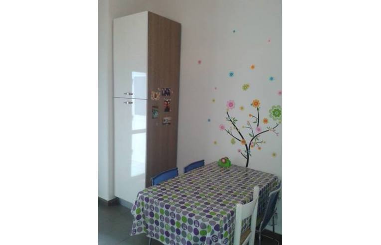 appartamento in affitto a Catania