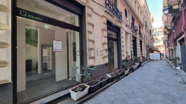 casa indipendente in affitto a Catania in zona Centro Storico