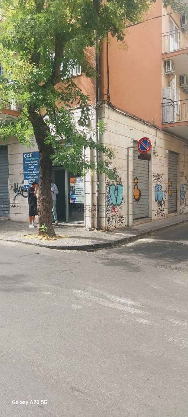 casa indipendente in affitto a Catania