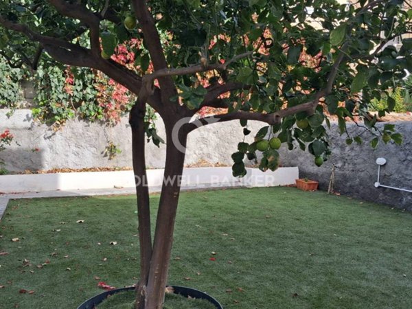 appartamento in affitto a Catania in zona Picanello