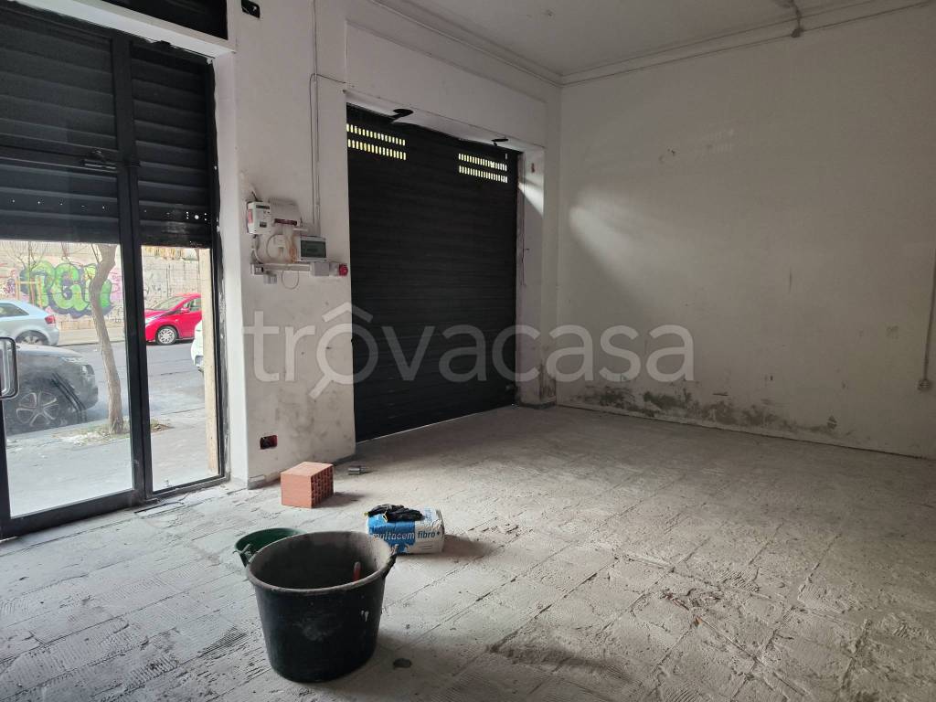 casa indipendente in affitto a Catania