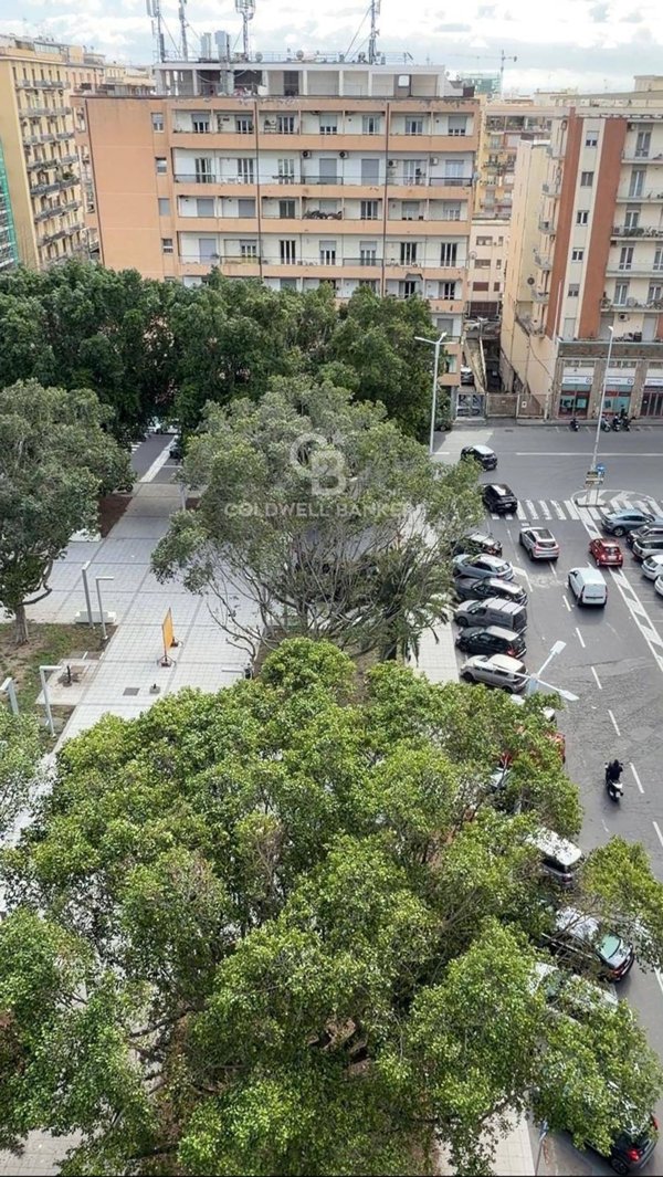 appartamento in affitto a Catania