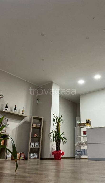 negozio in affitto a Catania