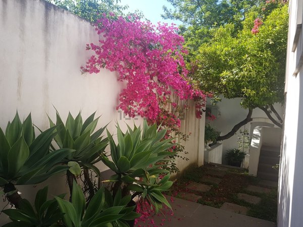 appartamento in affitto a Catania in zona Cibali