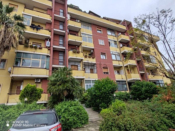 appartamento in affitto a Catania