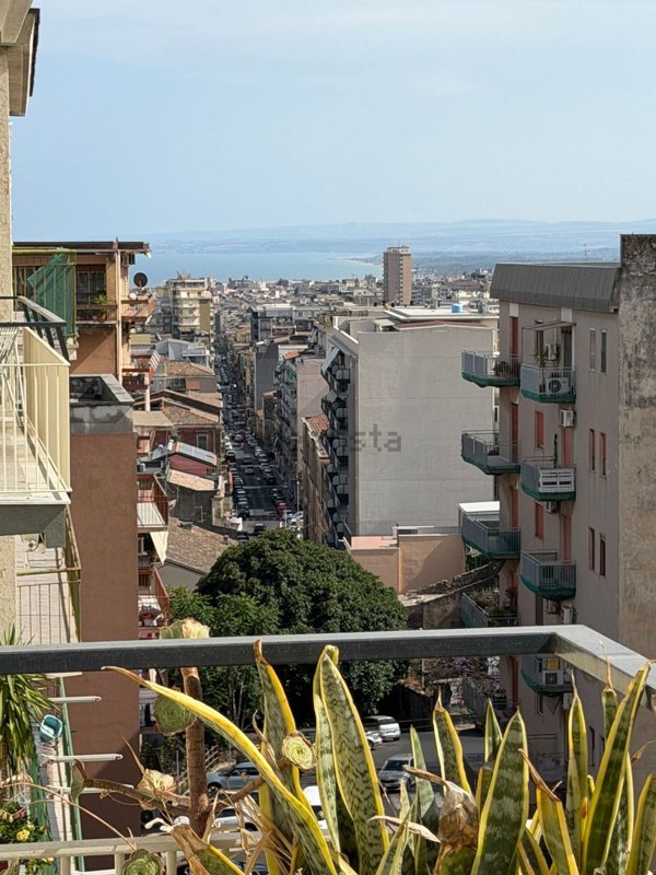 appartamento in affitto a Catania in zona Borgo Sant'Agata