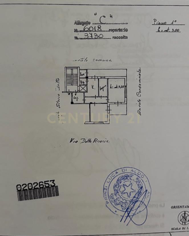 appartamento in affitto a Catania
