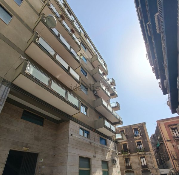 negozio in affitto a Catania in zona Picanello