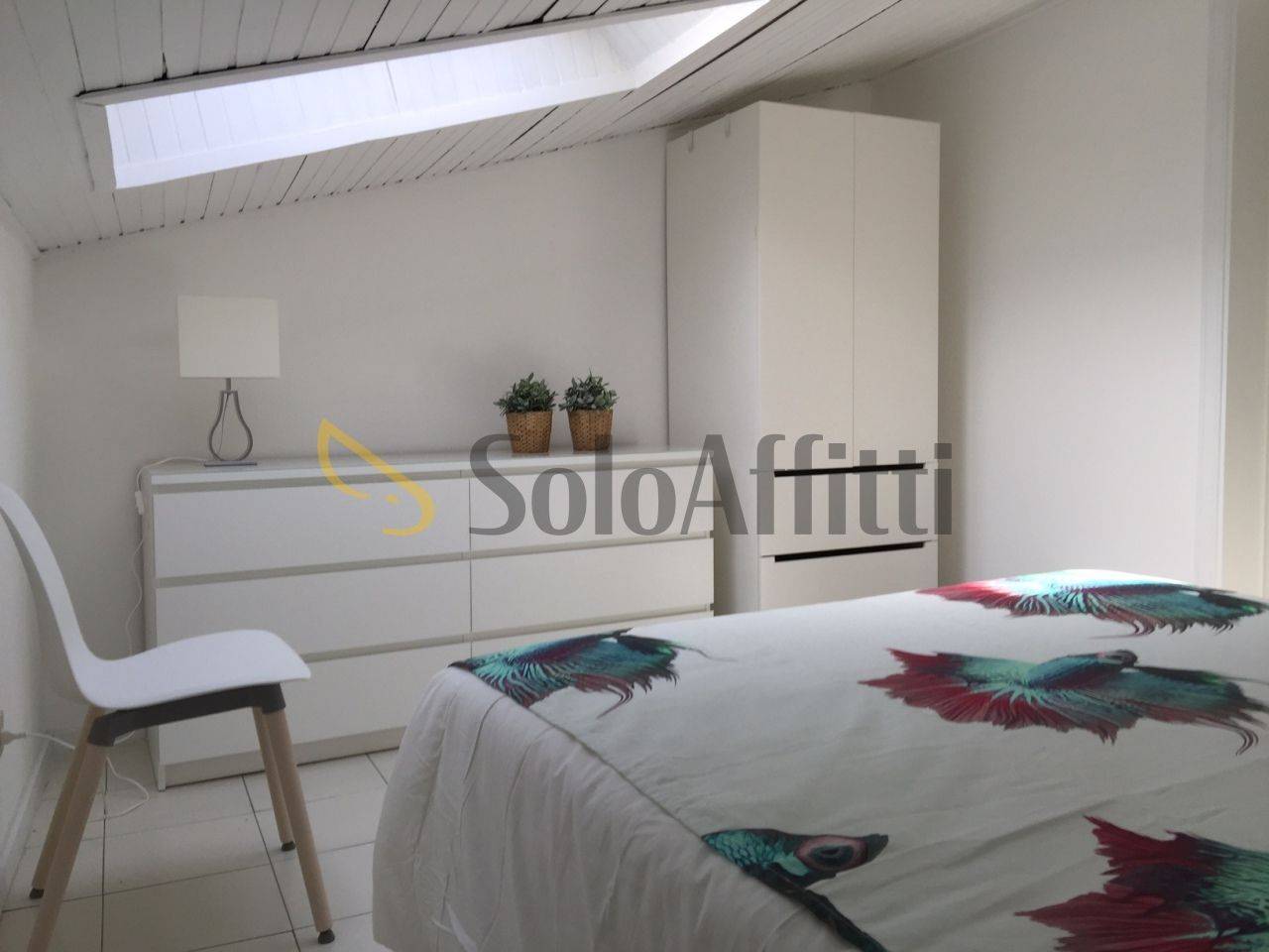 appartamento in affitto a Catania