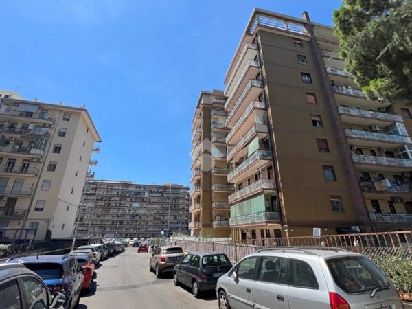 appartamento in affitto a Catania