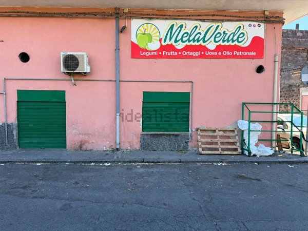 trivano in affitto a Catania in zona Picanello