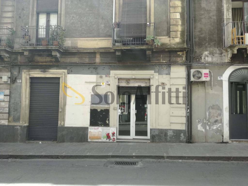 appartamento in affitto a Catania in zona Centro Storico