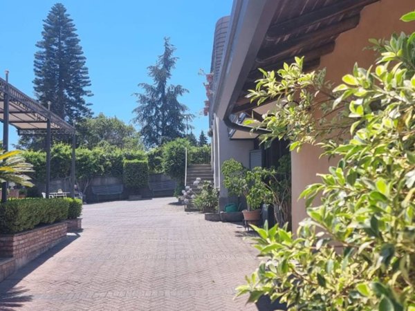 negozio in affitto a Giarre