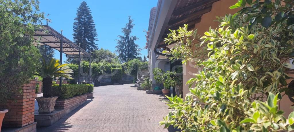 negozio in affitto a Giarre