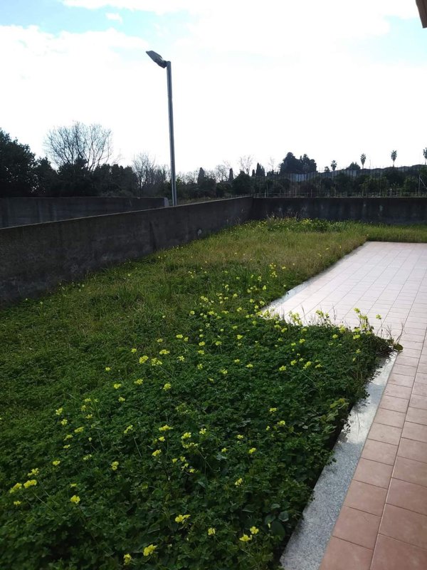 casa indipendente in affitto a Giarre